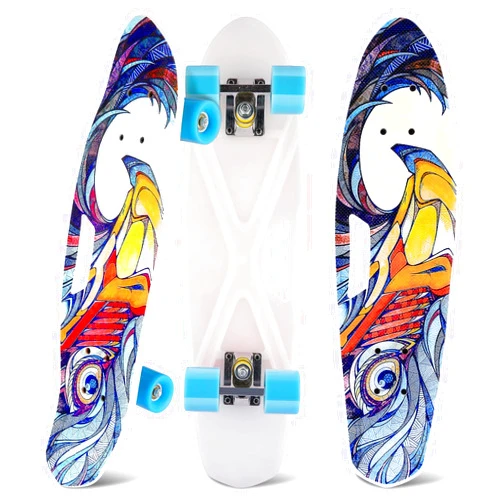 Nesaila Skateboard for Beginner, Complete Skateboards, 26 Inches Kids Teen Girl Boy Skateboarding, Mini Cruiser Skateboard