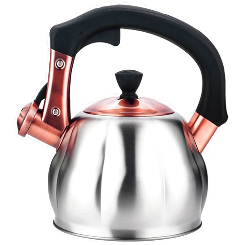 Lazneyru Stainless Steel Tea Kettle for Stove Top Teakettles Stovetop Whistling with Heat Proof Ergonomic Handle 2.5 Quart