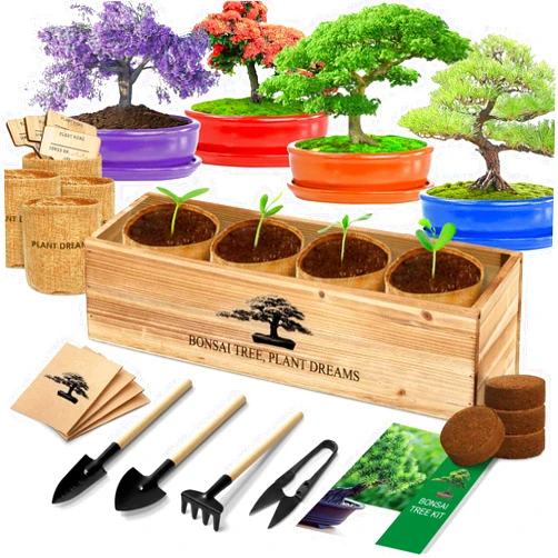 Endbug Bonsai Tree Kit, Bonsai Starter Kit with 4 Bonsai Tree Seeds, Tools & Planters, Bonsai Tree Live Plants Indoor, Gardening Gifts for Women Men Mom Father Plant Lover, Unique