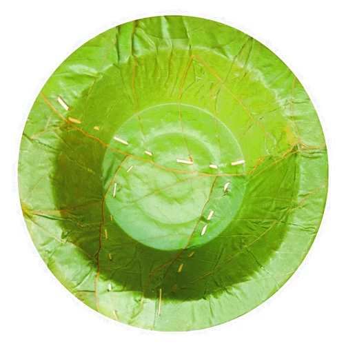 Bio Mart leaves in life... Palash-Sal leaf Single use Bowl | Natural, biodegradable, backyard compostable, USDA Certified | Party, Festival, wedding, BBQ Disposable supply | 4
