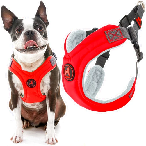 Gooby Escape Free Memory Foam Harness - Red, Medium - No Pull Step-in Small Dog Harness with Four Point Adjustment - Perfect on The Go Dog Harness for Medium Dogs No Pull and Small Dogs