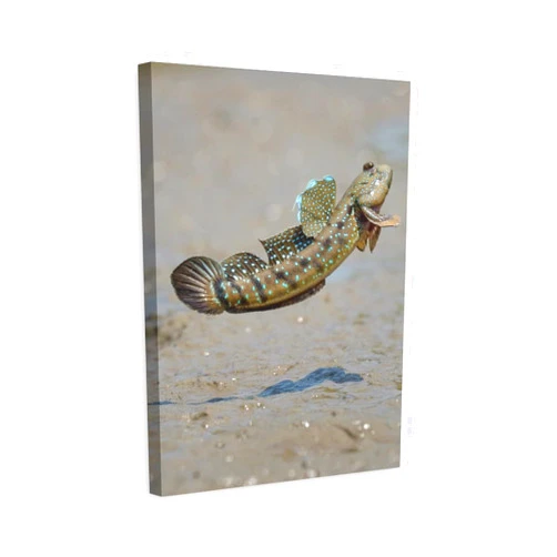 KAJAME MudSkipper Fish Jump Exquisite Wall Art Wall Decoration Painting Housewarming Gift Suitable for Living Room Office Washroom Bathroom Bedroom Toilet Kitchen And Other Decorations16x24inchs(40x60cm)