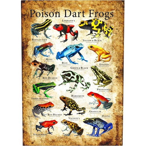 Pozino Metal Sign Poison Dart Frogs Cute Signboard Endangered AnimalsDiscover Why Some of The World¡¯s Extinct Animals Teach Science Pictures Home School Decorations8X12in