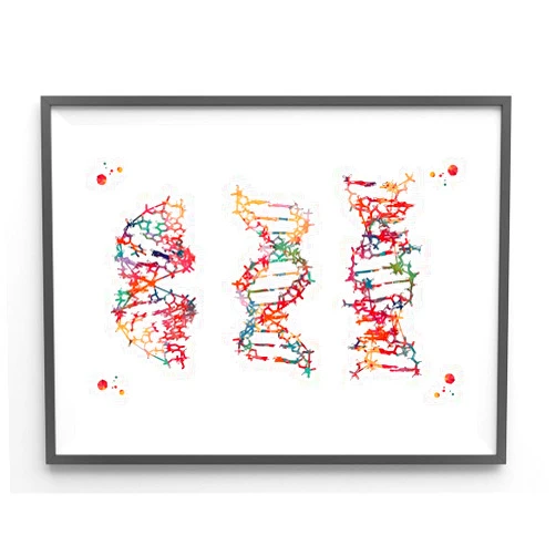 Custom DNA Strand Structures Watercolor Wall Art Dna Conformation A, B-form and Z-form Genetic Art Biology Art Spiraling Dna Genetic Wall Print,208