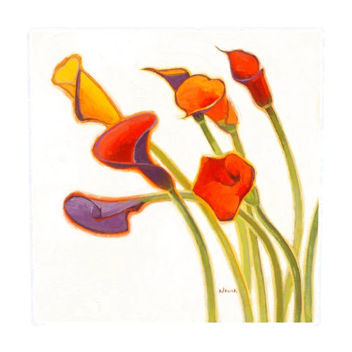 Trademark Fine Art Callas in The Wind II by Shirley Novak, 18x18, Multiple