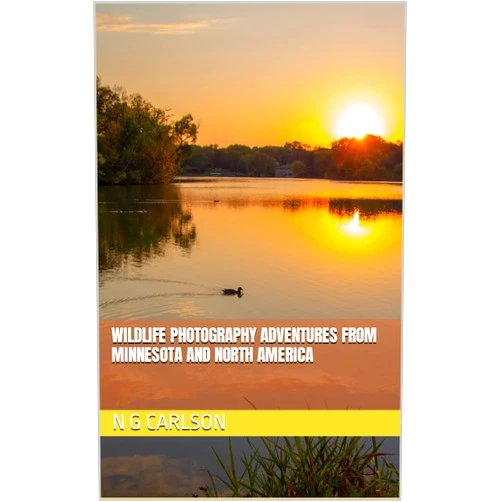 N G Carlson,Tammy Ervin,Betsy Salvatore Wildlife Photography Adventures from Minnesota and North America (Wildlife photographs)