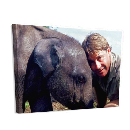 HIUBVCMML Environmental Activist Steve Irwin And Animals Live in Harmony Art Poster (2) Wall Poster Art Canvas Printing Gift Office Bedroom Aesthetic Poster 16x12inch40x30cm Frame-style