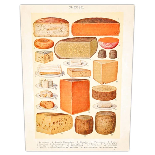 Buzz Unplugged Vintage Cheese Illustration: Farmhouse Kitchen Wall Art Decoration & Decor - 11x14 Unframed Art Print Signs, Aesthetic Pictures & Unique Art Wall Poster Decorations for the Kitchen…