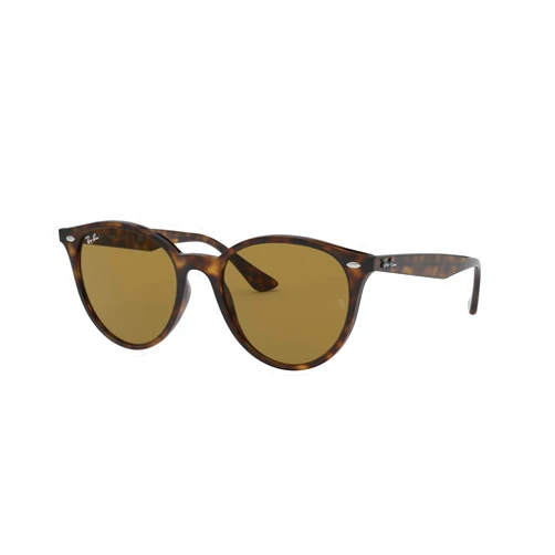 Ray-Ban RB4305 Round Sunglasses