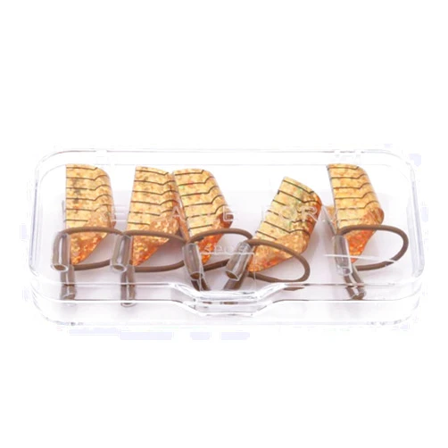 GOOIT 5Pcs Reusable Nail Art Extension Forms Guide Protector Nail Tips Manicure Accessory Nail Salon Home Supply (Silver,Golden)