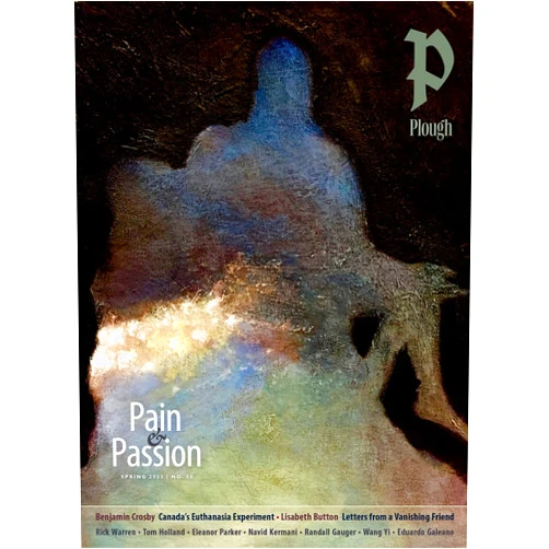 Randall Gauger,Benjamin Crosby,Lisabeth Button,Navid Kermani,Tom Holland,Rick Warren,Brewer Eberly,Eleanor Parker,Peter Mommsen Plough Quarterly No. 35 – Pain and Passion (Plough Quarterly, 35)