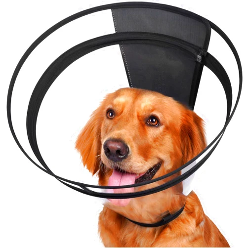 Didopet Dog Cone, Transparent Recovery Collar for Large Dogs, E Collar After Surgery to Stop Licking, Depth Adjustable Soft Cone Not Block Vision Patented (XL-Long)