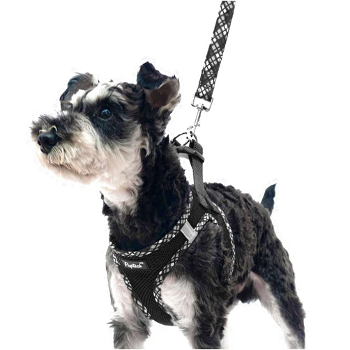 PUPTECK Dog Harness and Leash Set for Small Medium Dogs No Pull Step-in Soft Mesh Puppy Cat Vest Harnesses Reflective at Night, Black S