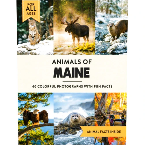 Robert W. Marshall Animals of Maine: Learn All About Pine Tree State Wildlife in a Fun Fact Picture Book for Kids and Adults