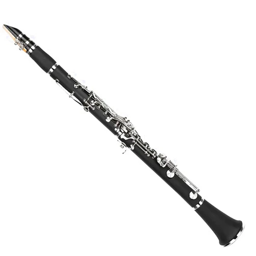 RTGHYTY ABS Tube Body Bb Tone Clarinet 17 Key Nickel Plated Keys Clarinet Kit With Case And Accessories Clarinet Kit