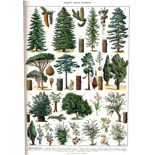 ZMKDLL Home Decoration Forest Metal Tin Sign Forest Wall Art Pine Tree Nature Forest Decor Outdoor Indoor Wall Panel Retro Vintage Mural 8x12 Inch