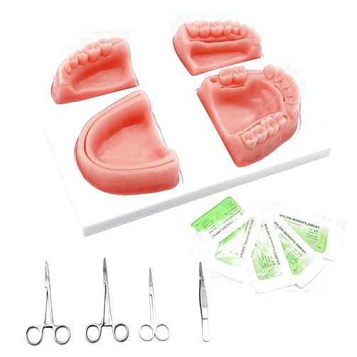 Zufor Oral Suture Training Pad Set with 4 Dental Suture Pads for Dentical Nurse Suture Training。Dental Suture Practice Pad for Practic on Soft Gum Teeth。Dental Suture Pad，Gifts for Medical Students
