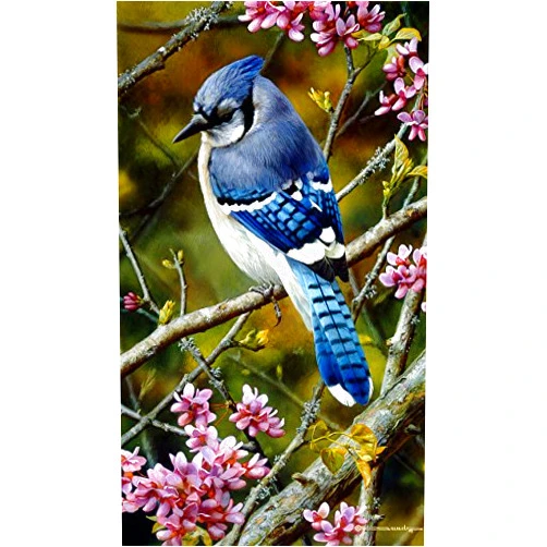 Carl Brenders - Flash of Sapphire - Blue Jay