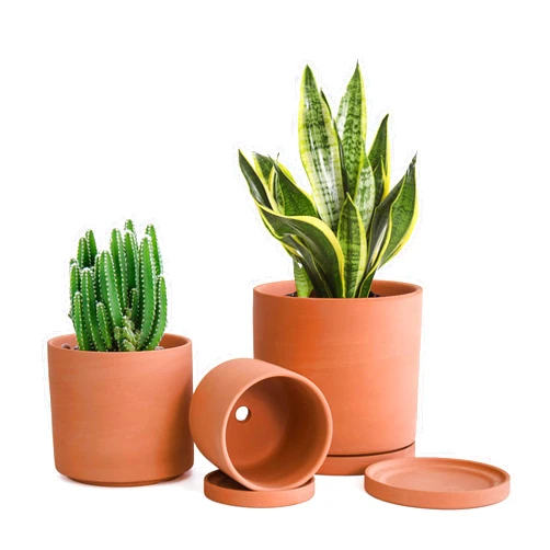 D'vine Dev Terracotta Pots for Plants, 4.2 Inch 5.3 Inch 6.5 Inch, Succulent Planter Pot with Drainage and Saucer, 40-T-A-0