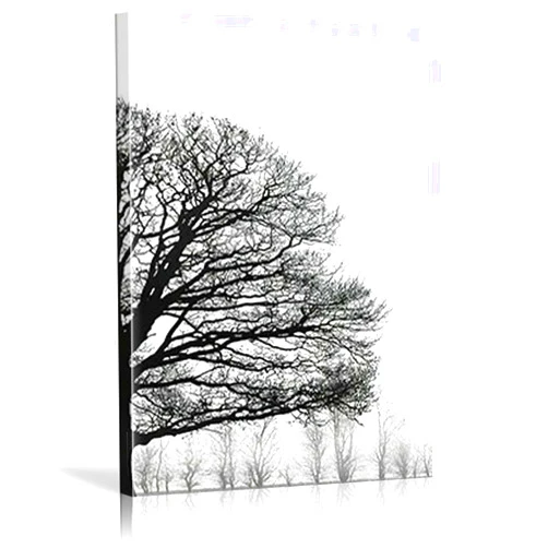KLDLKL Abstract Canvas Wall Art Modern Scandinavian Style Black White Winter Trees Nordic Prints Posters Living Room Office Decor Framed Ready to Hang 12x16 inch (30x40cm)