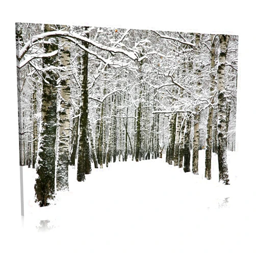 WALLSUP DECOR Winter Snow Canvas Wall Art - White Trees Forest Landscape Picture Cold Nature Park Life Artwork Painting for Home Walls Hallway Bedrooms