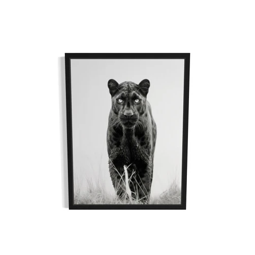 HomeArtPrint Panther Art Prints Posters, Black and White Animal Photography Wall Art, Wildlife Nature Photo, Exotic Animal Wall for Bathroom Bedroom Decor 71 (Panther, 8 x 10 inches, Unframed)