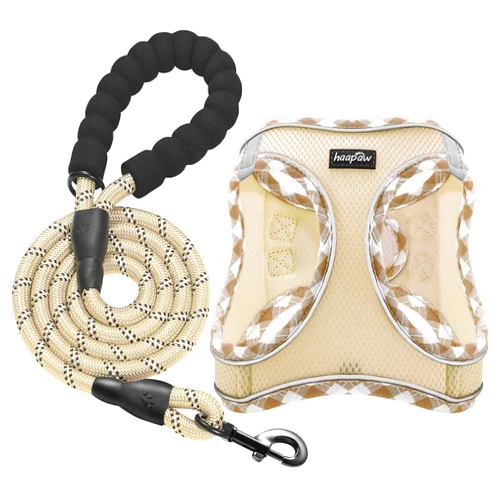 Haapaw Dog Harness with Leash Set, No Pull Adjustable Reflective Step-in Puppy Harness with Thickened Padded Vest for Extra-Small/Small Medium Dogs