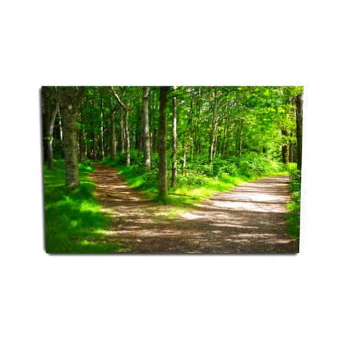 VIUBGCPS Canvas Print Pictures Wall Art Painting Two Road in Forest Framed & Stretched Posters Ready to Hang Home Decor Artworks - 20x32inch