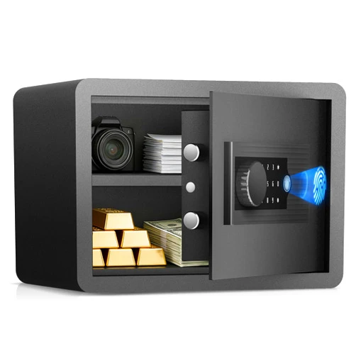 AEGIS Biometric Fingerprint Home Safe, 1.0 Cubic Feet Small Digital Security Hidden Safe Quick Access Unlock with Fingerprint/Keypad/Key for Cash, Jewelry, Document
