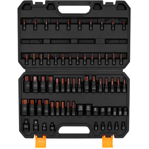 ELEAD 66-Piece Torx Bit & Hex Bit Socket Set: Premium CR-V & S2 Alloy Steel, Star Tamper Proof T8-T70 & E-Torx E4-E24, High Torque Laser Marked for Automotive Mechanic