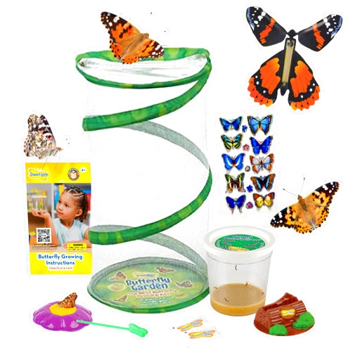 Insect Lore Butterfly Garden Gift Set | 8
