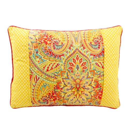Waverly Swept Away Decorative Throw Pillow with Modern Paisley Crosshatch Design, Cotton Blend Throw Pillows for Couch or Decorative Pillows for Bed, 14
