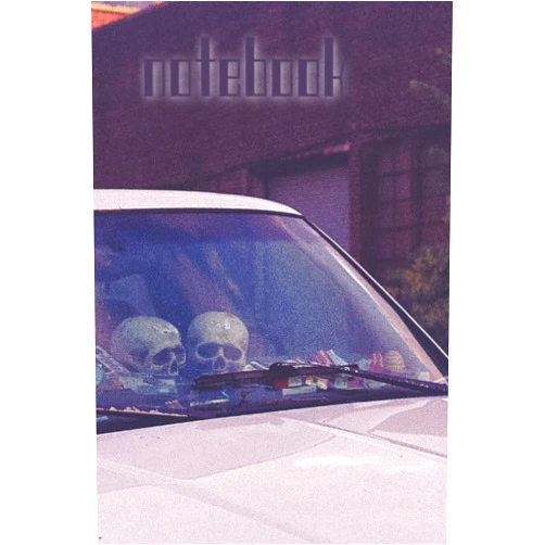 Reymun Jarbage Notebook: car with skulls
