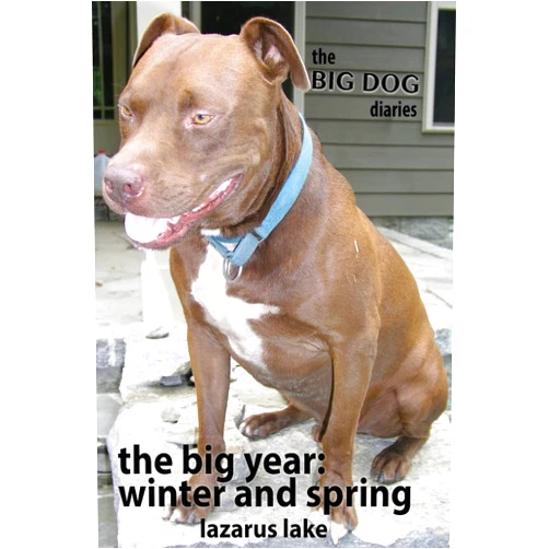 Lazarus Lake,Blaine Moore The Big Year - Winter and Spring (The Big Dog Diaries)