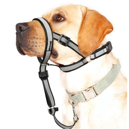 BARKLESS Reflective Head Collar, No Pull Collar for Medium Large Small Dogs, Anti-Pull Muzzle Leash for Medium Sized Breed, Adjustable Soft Dog Halter, Nose Leash for Easy Control on Walks