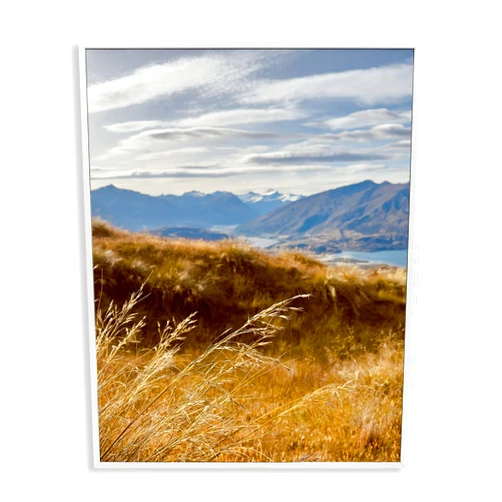 Stupell Industries Windblown Mountain Region Framed Giclee Art Design by Kali Wilson