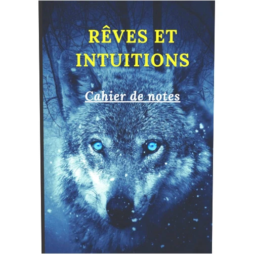 Âmes de Sorcières RÊVES ET INTUITIONS: Cahier de notes (French Edition)