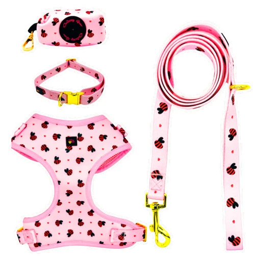 Daizzy Gear Cute Dog Harness Set No-Pull, Step-in, Soft & Adjustable Matching Collar,Harness and Leash Set with Premium Accessories & Poop Bag Holder for Small, Medium & Large Breeds. (Small, Pink)