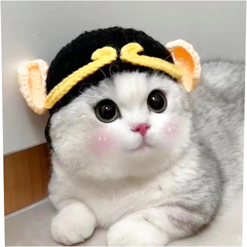THE LIMIT Pet Head Hats, Cat Cosplay Costume, Pet Adorable Headwear, Dog Funny Knit Beanie, Cute Hat for Cat Adjustable Soft Headwear, Hat for Cat Puppy Dog, Halloween Accessory (Medium(Within 17 pounds))