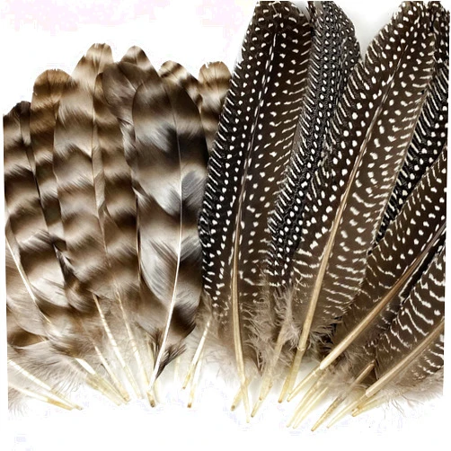 BleSky 30 Pcs Natural Pheasant Feathers for DIY Craft 15-22cm Assorted Wild Turkey Feather Guinea Fowl Wing Quill Wedding Home Party Decorations(2 Styles)