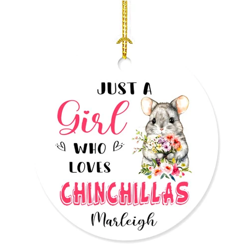 Ciciron Personalized Just A Girl Who Loves Chinchillas Customized Name Floral Chinchilla Ornaments Gifts for Besties Xmas 2024