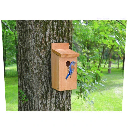 Songbird Essentials SETC101 Cedar BlueBirdhouse (Set of 1)