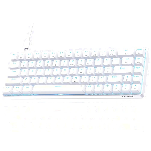 TMKB Technology Mechanical KeyBoard TMKB T68SE Gaming Keyboard, 60% Mechanical Keyboard, LED Backlit Ultra-Compact 68 Keys Wired Mini Keyboard with Separate Arrow/Control Keys for Windows Laptop PC Gamer Typist with Blue Switch-White