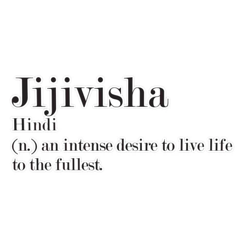 HJ Media Jijivisha Hindi Beautiful Word Definition Sticker Vinyl Decal Car Laptop Wall Window Bumper Sticker 5