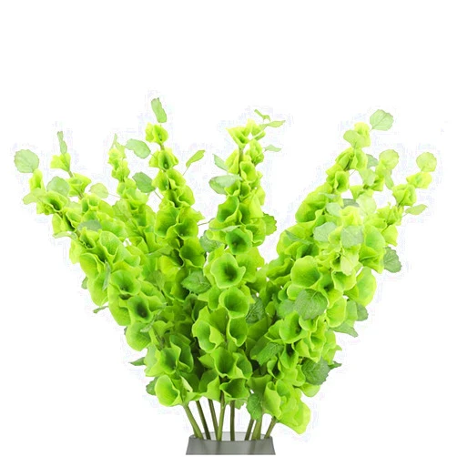 BQEE Simulated Shell Leaf Artificial Flower Bell Grass Flower Bells of Ireland Arrangement Home Office Arrangements Indoor Outdoor Decoration