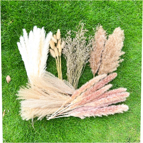 CZCTLUL 100Pcs Pampas Grass Boho Home Decor 17 inch Natural Dried Flowers-Pampas Grass Contains Bunny Tails White Pampas Brown Pampas.Boho Decor for Farmhouse Wedding Boho Wall Bathroom Office Kitchen…