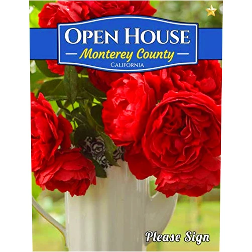By Lisa Marie Smith (Author) Monterey County Open House: A Guest Book for Monterey County, California for Real Estate Professionals and People who want to sell their homes.