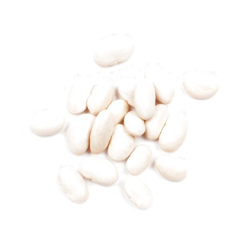Angelina's Gourmet Premium Great Northern Beans - 10 Pound Box | High-Protein, Fiber-Rich, Gourmet Quality for Chefs