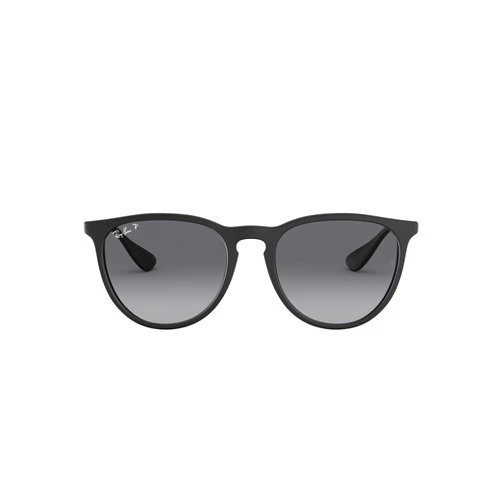 Ray-Ban Rb4171 Erika Round Sunglasses