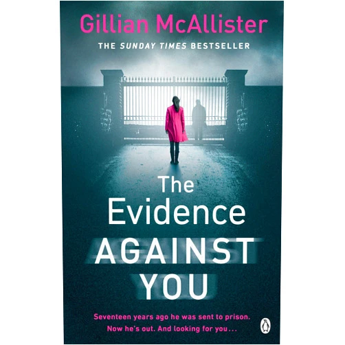 Gillian McAllister Evidence Against You